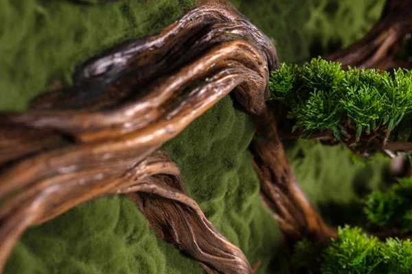 Bonsai Tablaeu Grande-4 4