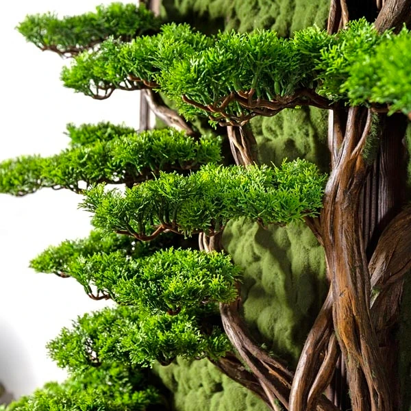 Bonsai Tablaeu Grande-6 5