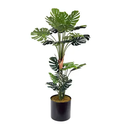 Deve Tabanı180cm 2