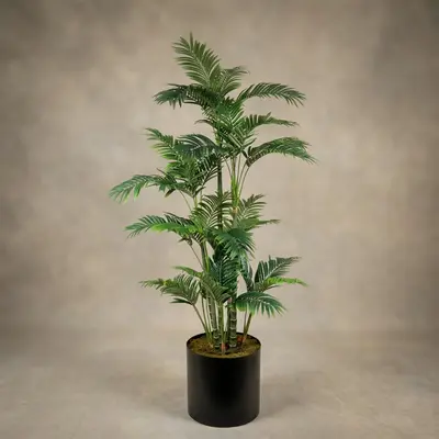 Areka 180cm Ağaç 2