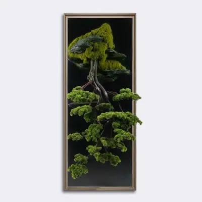 Bonsai Tablaeu Grande-3 2