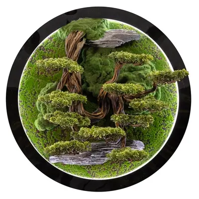 Led Işıklı Yuvarlak Bonsai Tablo-3 2